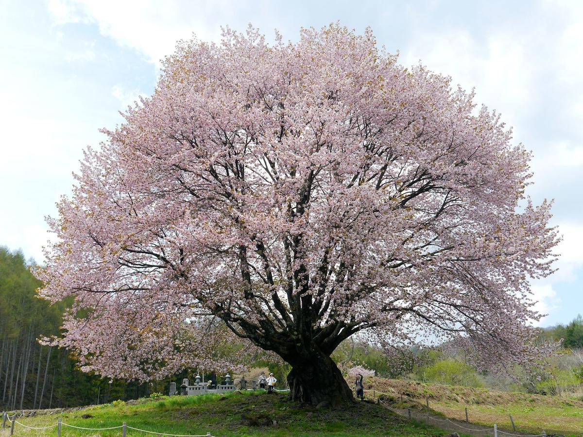 Pension Green Field Katashina Exterior foto